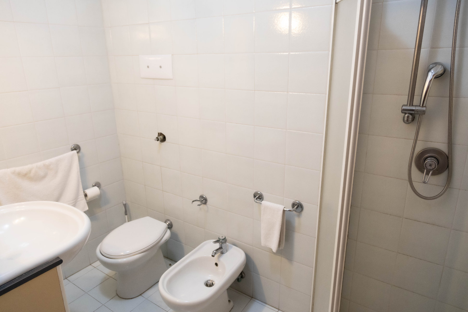 Monolocale, bagno con doccia, tema bianco
