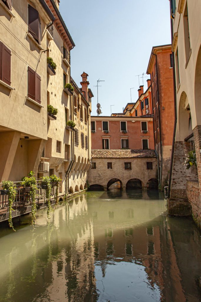 Treviso